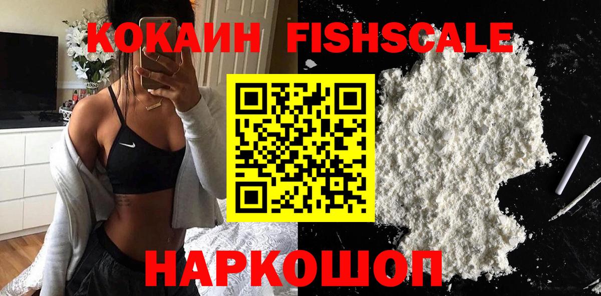 Cocaine Эквадор  цены   Вход с VPN  Елабуга  COCAIN Fish Scale 