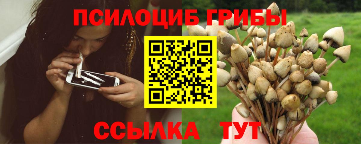 Псилоцибиновые грибы Magic Shrooms  Вход с VPN  Елабуга 